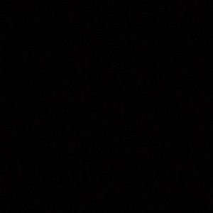 Meet your Posher, Sydni